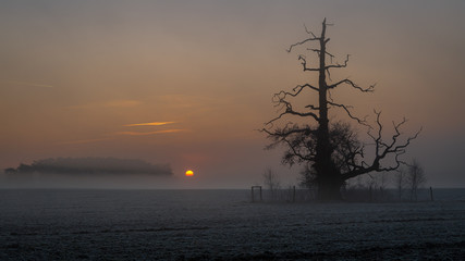Wschód słońca, Rogalin, Polska © Maciej