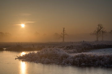 Wschód słońca, Rogalin, Polska © Maciej