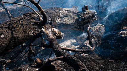 Fire in the mountains and field