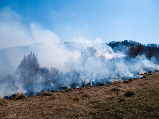 Fire in the mountains and field