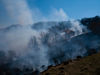 Fire in the mountains and field