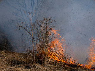 Fire in the mountains and field