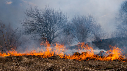 Fire in the mountains and field