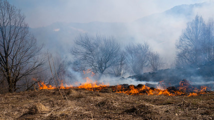 Fire in the mountains and field