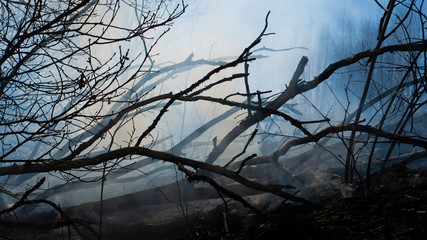 Fire in the mountains and field