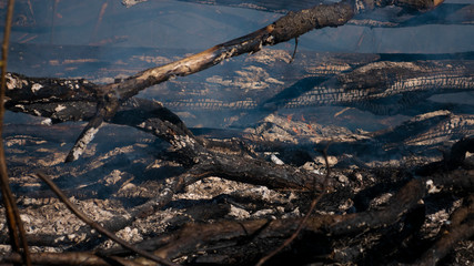 Fire in the mountains and field
