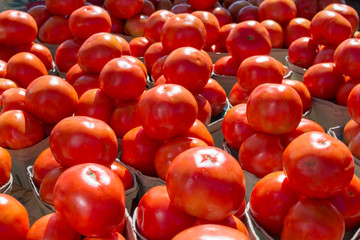 red tomatoes at the market