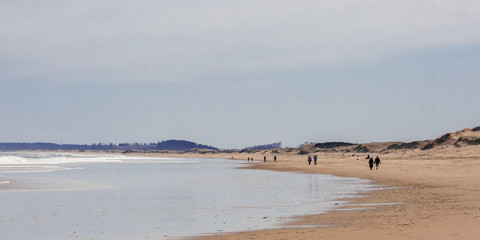 Fototapeta na wymiar Beachscape in early spring