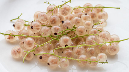 Detail of a Pile of white currant on a white plate 
