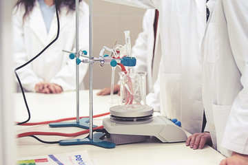 Laboratory scientist working at lab