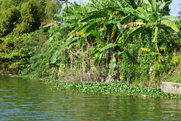 river bank from perfume river in hue
