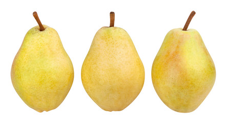 duchess pear
