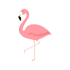 Flamingo cartoon vector illustration isolated on white