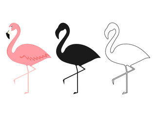 Group of flamingo in different poses cartoon vector illustration isolated on white