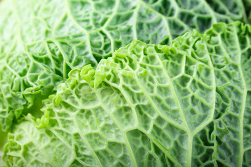 Savoy cabbage superfood texture.