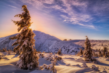 Poranne słońce nad Śnieżką w zimowych Karkonoszach - obrazy, fototapety, plakaty