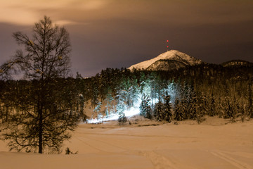 flashlight in nature at night