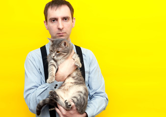 handsome confident man in blue shirt, black suspender holding grey striped tabby cat with outstretched paws and looking at camera in front of yellow background