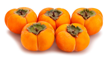 kinglet persimmons