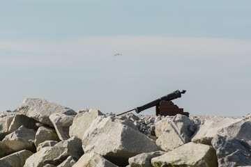 Cannon by the port
