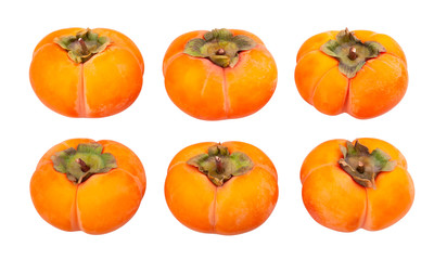 kinglet persimmons