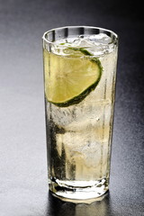 Garcia's drink, cocktail with tonic water, lemon and ice at will