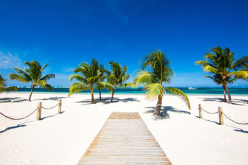 Wooden path to the sea between palm trees on a beautiful tropical white sand beach on a paradise...