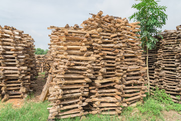 Stack of split logs for woodfiring at backyard garden of ceramic pottery in the North Vietnam