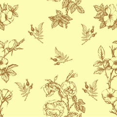 Seamless vector pattern with roses flowers