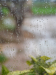 Water drops on a glass with unfocused landscape behind