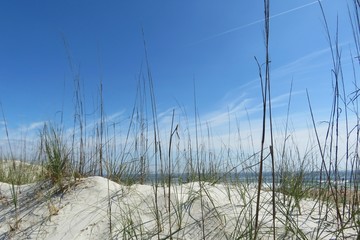 Beautiful view on sand dunes and ocean in Atlantic coast of North Florida 
