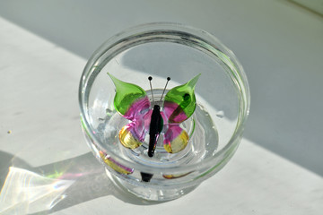 colored glass butterflies on a cup of water on a white background
