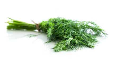 Fresh dill on a white background