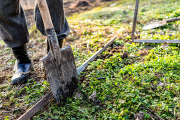 Man people person working on vegetable winter garden for post raised bed cold frame in Ukraine dacha and closeup of shovel spade digging