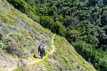 Fototapeta premium Hikers on Trail on Hillside