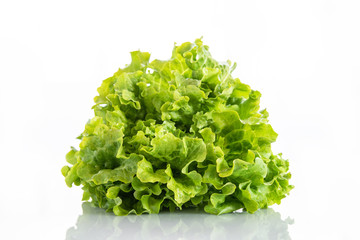 fresh lettucelettuce on a white background on a white background