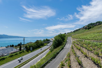 Obraz na płótnie Canvas View on Vineyards near Lausanne, Switzerland