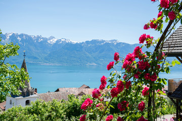 Romantic View on Geneva lake in Summer