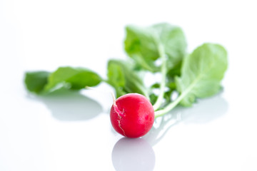 Fresh red organic radishes on white background