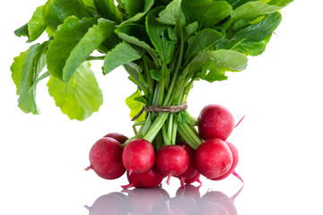Fresh red organic radishes on white background