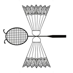 Sport, badminton, racket, shuttle, play,activities, graphic 