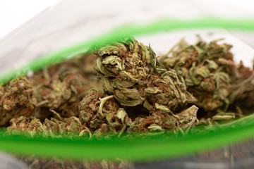 Closeup of green dried marijuana buds in plastic bag. Macro shot of cannabis buds.
