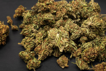 Pile of green dried cannabis marijuana buds on black background