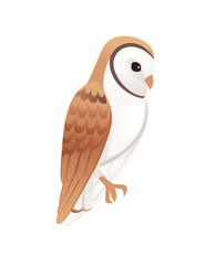 Cute barn owl (tyto alba) with white face and brown wings cartoon wild forest bird animal design flat vector illustration isolated on white background