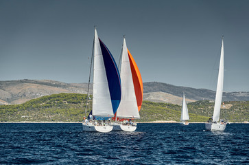 Sailboats compete in a sail regatta at sunset, race of sailboats, reflection of sails on water, multicolored spinnakers, number of boat is on aft boats, island is on background, clear weather