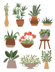 Home decorative and outdoor garden plants in pots set green plants flat vector illustration isolated on white background
