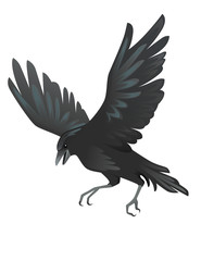 Black raven bird cartoon crow design flat vector animal illustration isolated on white background