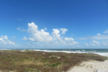 Fototapeta na wymiar Sand dunes on the beach in Atlantic coast of North Florida