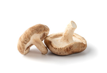 Fresh Shiitake Mushrooms, Raw Shitake, Healthy Organic Asian Fungi