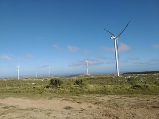 Molinos de viento 